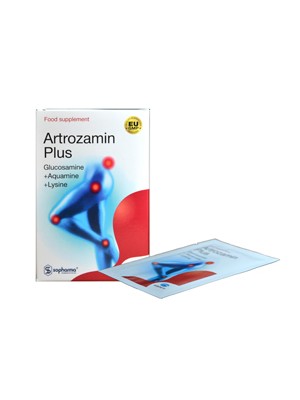 ARTROZAMIN PLUS 15 sachets